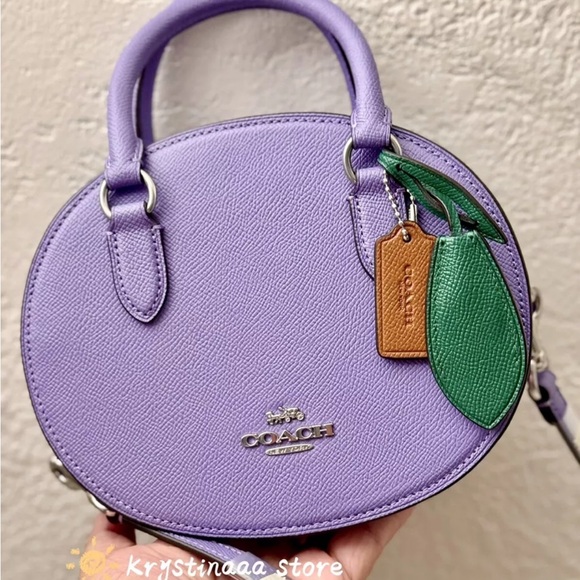 Coach Purple Leather Women\'s Bag